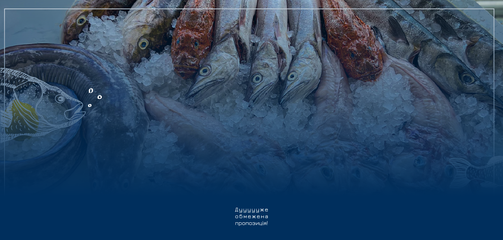 SEA FEST: Anchovy is Back!