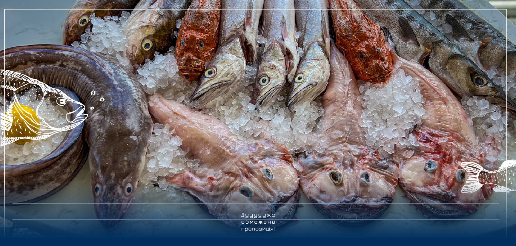 SEA FEST: Anchovy is Back!